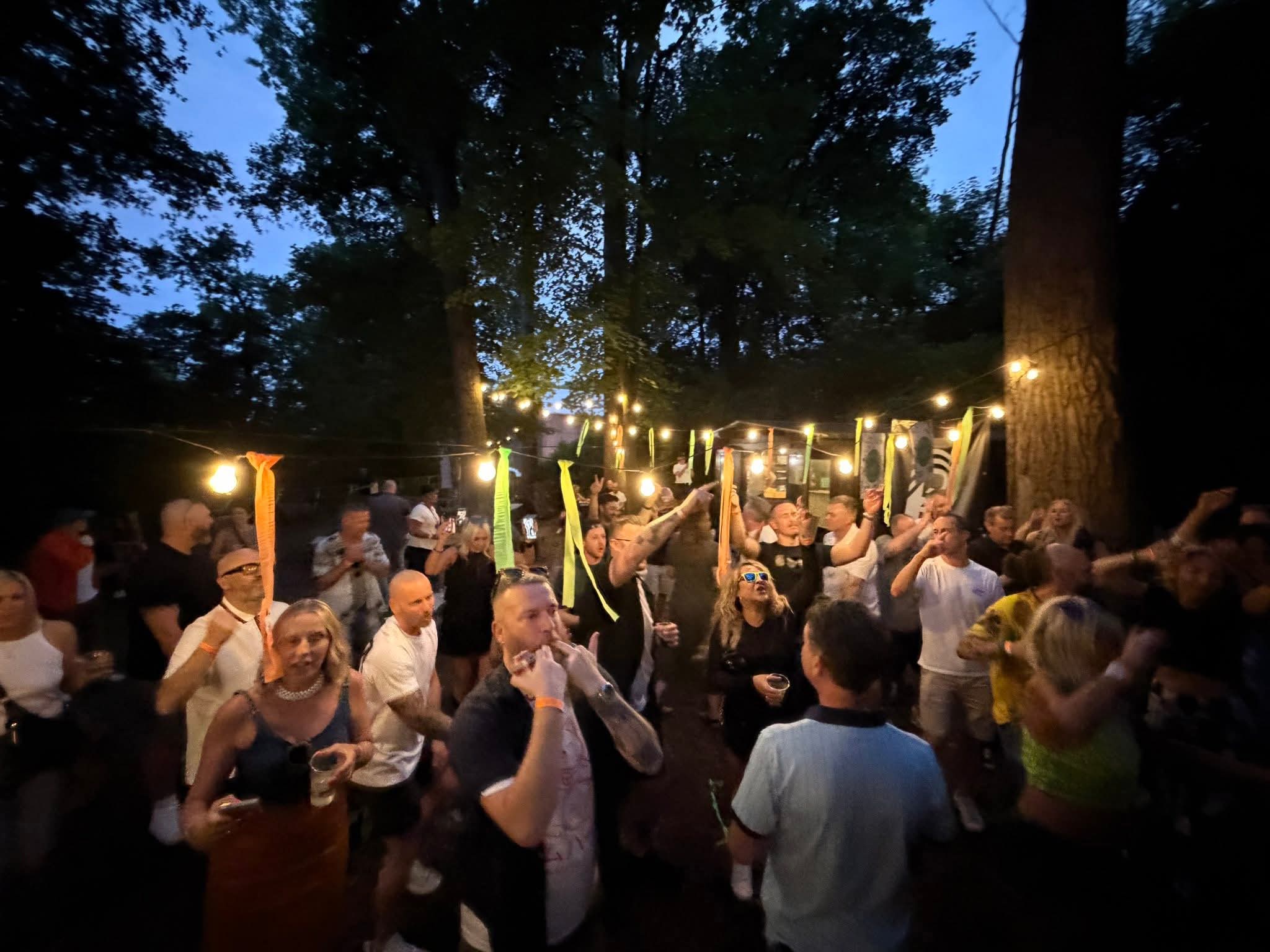 Woodland dancefloor at night